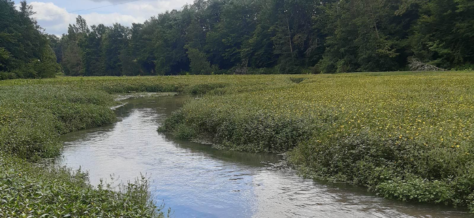 Découvre ton île - Lac 2025